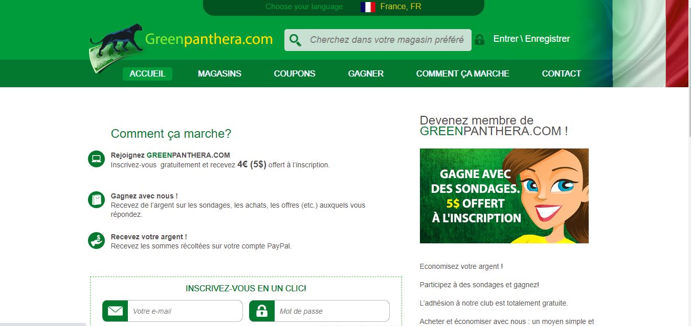 Greenpanthera : comment gagner de l’argent avec ce site ?